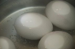 boiling white eggs
