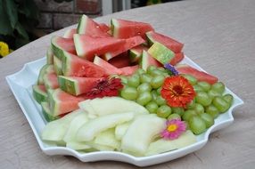 watermelon melon and grapes on a plate