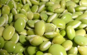 healthy green peas