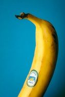 yellow banana with a sticker