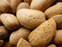 almonds like a nut