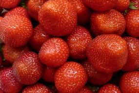 Red sweet strawberries in a box