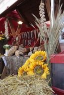 sausages and sausages in the rural market