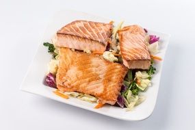 teppan salmon on a vegetable pillow