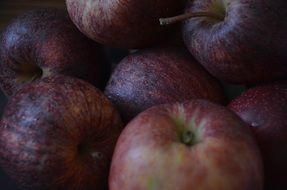 dark red apples close up