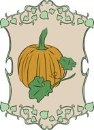 Picture of pumpkin