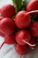 red round fresh radishes
