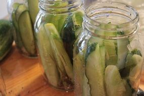 cucumbers for home canning