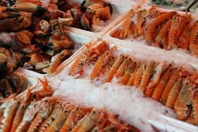 Delicious seafood in ice in a market