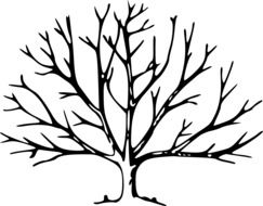 clipart,picture of tree without leaves in winter