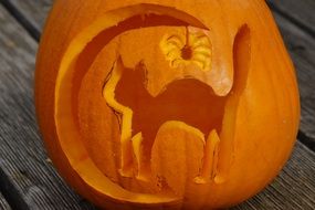 carving the pumpkin for halloween