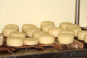 cheese aging