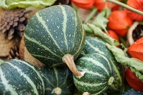 green striped pumpkin close-up