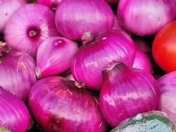 colorful onions on the market close-up