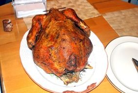turkey bird roasted