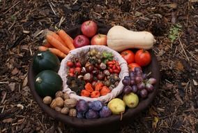 autumn basket