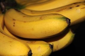 closeup photo of the ripe yellow bananas