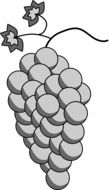 black and white drawing of a grape cluster