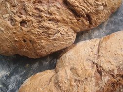 two farm breads