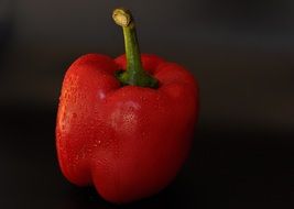 wet red pepper