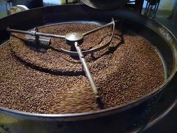 coffee beans when roasting