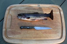 on the cutting board is a fish and a knife