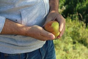 man holding fresh autumn apple