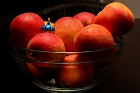 blue little toy head in red apples