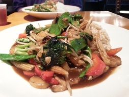 vegetarian dish on a white plate