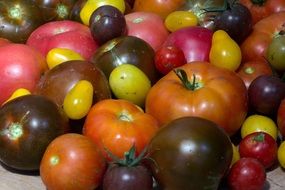 tomatoes fruit garden harvest