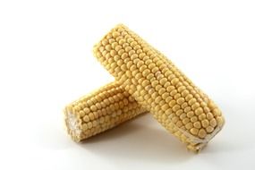 corn on white background