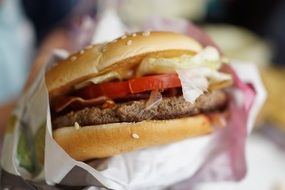 tasty burger for snack