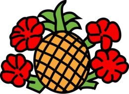 drawn pineapple with red flowers