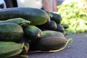 green fresh zucchini