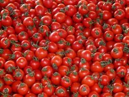 red tomatoes with tails