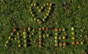 figures with apples on green grass