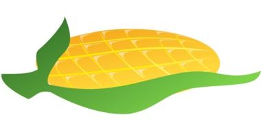 yellow corn drawing