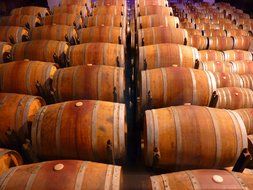 barrels of wine