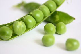 green fresh healthy peas vegetable