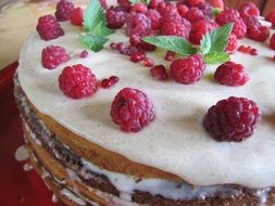 sponge cake with fresh raspberry