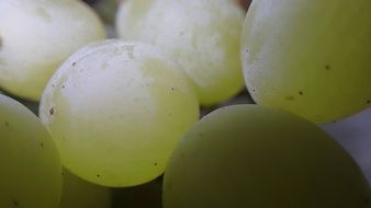 A lot of the green grapes