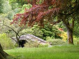 stone bridge in autumn garden