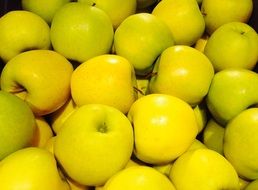 yellow apples, background