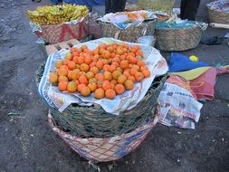 ripe bright oranges on the market