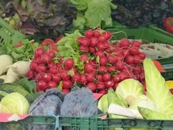 beautiful vegetables in the market