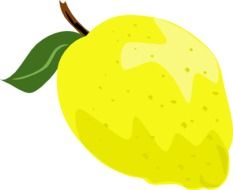 a yellow lemon with a green leaf drawing