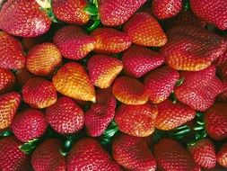 strawberries as a symbol of summer
