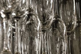lot of empty champagne glasses close up