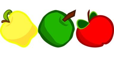 variety of apples as a graphic illustration