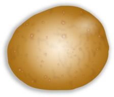 potato cooking food drawing